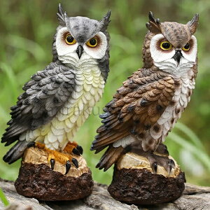 yz悯 悯 {  hhb΍ JX΍ h 悯ObY u I[ig fBXvC K[fjO  K[f x_ O ރng X