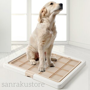 []ybggCg[ 2cm bV t`h~ ω׏d50kg ېOK q ^ ^ ^ gCg[jO h~ hH L R p Op 􂦂
