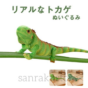 yzgJQ ʂ Ƃ 낢 q  A ӂӂ ঒  u  CeA  60cm