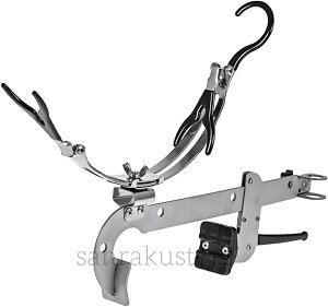 yz{[g D Ǝ bhz_[ Cނ ƒu ւ Ɨ bhX^h h  t\ px\ ς ދ