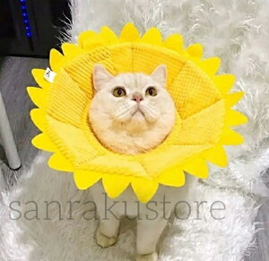 yz 킢  Ck lR _炩 \tg pEFA wXPA rߖh~ p Lp  Ђ܂^