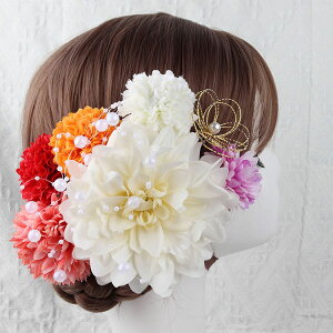 l  U a _A  S6F  wbhhX wART[W a a  wAANZT[     ؂₩ EFfBO Ǝ  w \