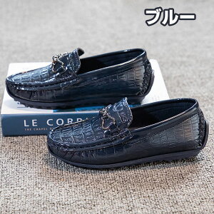 tH[}C q C j̎q tH[}V[Y {[CYV[Y V[Y LbY  Ǝ  w ʊw ʉ  \ t a X[c v[g  ubN 