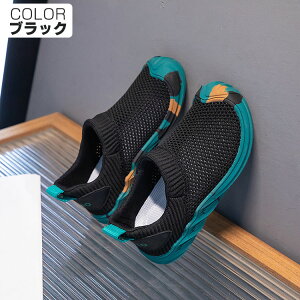 LbY C Xj[J[ j̎q ̎q 16.5cm WjA V[Y bV qC X|[c AEghA jO ^C {[CY y EH[LOV[Y t  H ʋC h ʉ ʊw 