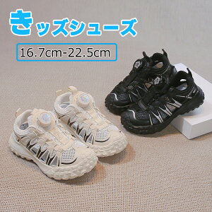 y_CzLbY T_ ₷ ʊw w Z K[Y ig p r[`T_ X|[c ̎q j̎q WjA  NbV Ȃ IV  