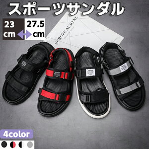 X|[cT_ Y j̎q ~  ʋ JWA 傫TCY  oRT_  w ɂ Ȃ C RtH[gT_  h ₷ 