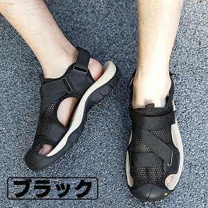 X|[cT_ Y j̎q {v U[  h ₷ NbV y ₷ ~  ʋ JWA 傫TCY  w ɂ Ȃ C 