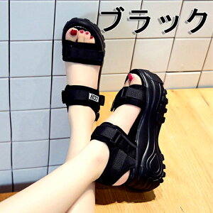 X|[cT_ fB[X ̎q r CX^ ʋ JWA w ɂ AEghA 傫TCY  ₷ Ȃ NbV y ₷ ~ 