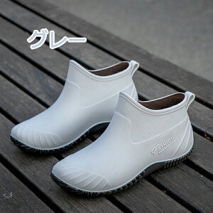 CV[Y fB[X l ̎q Cu[c Jp V[g V[gCu[c JC V[gu[c ʋ ʊw o[u[c ₷ h h ~J 䕗 IV  23