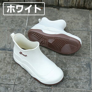 CV[Y fB[X V[gCu[c JC ZC y V[gu[c ʋ ʊw l ̎q Cu[c Jp V[g o[u[c ₷ h h ~J 䕗 I