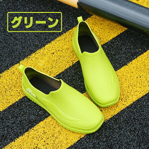 Cu[c Y l CV[Y Sh h JC o[u[c ₷ V[gCu[c V[gu[c V[g ZC y ~J ʋ ʊw _炩 IV O[