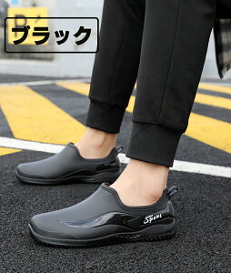 Cu[c Y l CV[Y Sh h JC o[u[c ₷ V[gCu[c V[gu[c V[g ZC y ~J ʋ ʊw _炩 IV O[