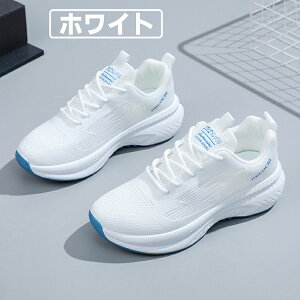 Xj[J[ fB[X jOV[Y ʋC y ~ X|[cV[Y Xb|  킢 WMO EH[LO ^C  JWA W s ʊw ʋ 