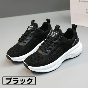 Xj[J[ fB[X jOV[Y ʋC y ~ X|[cV[Y Xb|  킢 WMO EH[LO ^C  JWA W s ʊw ʋ 