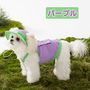 ybg N[xXg  ⊴ ObY ʋC p  ̉ MǑ΍ xXg ĕ pxXg ⊴N[ N[ ⊴ xXg ⊴ N[EFA ΍ U o K 