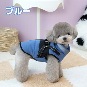 tH~ hbOEFA ybgEFA xXg  EȒP  ۉ ΍ d˒ _炩 h ~R[g  WPbg [ht ˃e[v ^ ^ ۉ 
