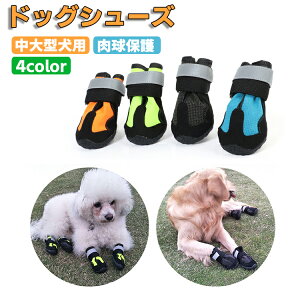 pC hbOu[c hbOV[Y ^ ی J̓ Uu[c C C OE둫/4Zbg h }WbNe[v ybgē~pC ɂΉ U o| h~ 