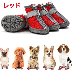 ybgObY hbOu[c hbOV[Y pC ^ ی J̓ Uu[c C 4Zbg h ē~pC ɂΉ U h~ ~ PKh~ bV E