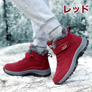 ~pC Xj[J[ fB[X Y {AXj[J[ V[gu[c [gu[c |A  Xm[V[Y EC^[V[Y ubN   ~ C h ۉ h y 