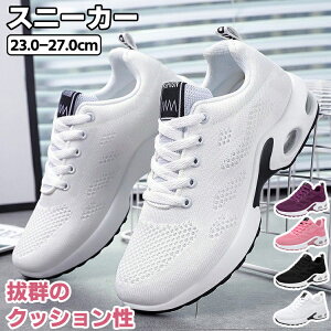 Xj[J[ X|[cV[Y WMO V[Y fB[X Y ʋC y ~ ^C L JWA  W d AEghA jp  ꂢ s ʊw ʋ 