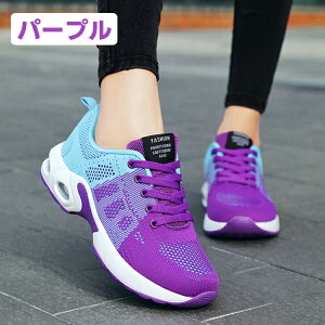 Xj[J[ fB[X Y jp ʋC y ~ X|[cV[Y WMO V[Y ^C L JWA  W d AEghA  ꂢ s ʊw ʋ 