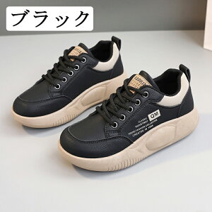 Xj[J[ fB[X ʋC y ~ X|[cV[Y jOV[Y ^C L JWA  W d AEghA  ꂢ s ʊw ʋ 풅p EH[