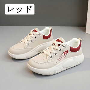 Xj[J[ fB[X ʋC y ~ X|[cV[Y jOV[Y ^C L JWA  W d AEghA  ꂢ s ʊw ʋ 풅p EH[