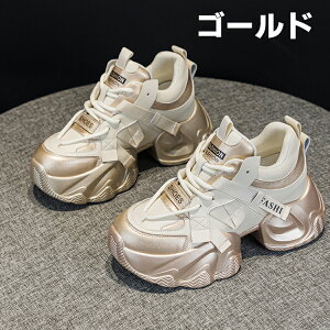 Xj[J[ fB[X V[Y ʋC y X|[cV[Y ^C L W d AEghA  ꂢ s ʊw ʋ 풅p EH[LOV[Y ɂ 