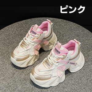 Xj[J[ fB[X V[Y ʋC y X|[cV[Y ^C L W d AEghA  ꂢ s ʊw ʋ 풅p EH[LOV[Y ɂ 