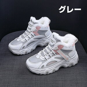 ~pC Xj[J[ fB[X Y EB^[u[c V[gu[c [gu[c |A JWA Xm[u[c EC^[V[Y nCJbg  ~ C h ےg h N 