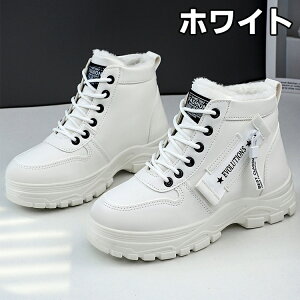 ~pC Xj[J[ fB[X EB^[u[c V[gu[c [gu[c {A JWA AEghA Xm[u[c hV[Y nCJbg  ~ C h ےg h N 