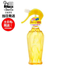 SALA T g[gg TN T̍ 250ml wAg[gg wAPA Q ܂锯 ѐ _[WC Ƃ ܂Ƃ܂