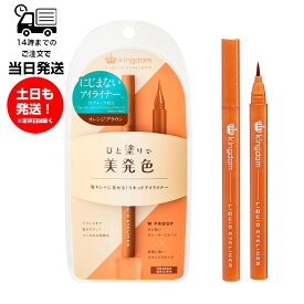 キングダム kingdom リキッドアイライナー WP オレンジブラウン くすみカラー 瞳キレイ 描きやすい コシ 極細毛 ウォータープルーフ スマッジプルーフ 美発色 ツヤ 長時間 すき間 目尻