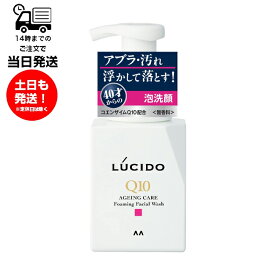 LUCIDO ルシード トータルケア泡洗顔N 150ml EXオイルクリア泡洗顔 すべすべ肌 40才からのねっとりアブラ徹底クリア W皮脂クリア成分 緑茶エキス配合 肌ひきしめ成分 Q10 無香料 無着色 パラベンフリー