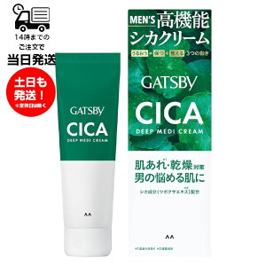 GATSBY Mcr[ fB[vfBN[ 55g CIKA VJ @\ N[ r ΍ 邨 ۂ  e qQ _[W  ϐ t et