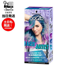 got2b �S�b�g�D�[�r�[ �J���[�N���[�� ���C���{�[�A�N�A �w�A�J���[ �ѐ��ߍ� �N���[�� �A�N�Z���g�J���[ �|�C���g
