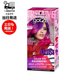 got2b �S�b�g�D�[�r�[ �J���[�N���[�� ���C���{�[���b�h �w�A�J���[ �ѐ��ߍ� �N���[�� �A�N�Z���g�J���[ �|�C���g