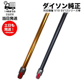 Dyson V10シリーズ専用 ダイソン SV12専用 純正 ロングパイプ 延長 ポール ノズル ブラック オレンジ 未使用品 V10 SV12シリーズ専用 部品 交換用パーツ 修理用 故障 交換 ダイソン部品 正規品