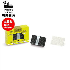 ESTEBAN GXeo J[tOX e[ _O[