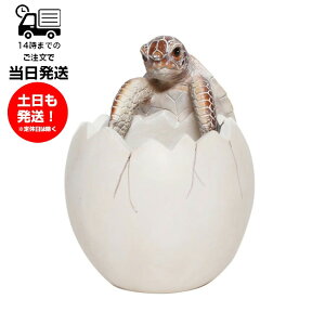 magnet }Olbg BOB UP STAND TURTLE {uAbvX^h ^[g yX^h  y Mtg v[gp p  CeA u IuWF   킢