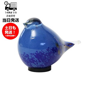 magnet }Olbg HEALING BIRD BLUE q[Oo[h u[ Cg v  Mtg v[gp p  CeA u IuWF    S  D 킢