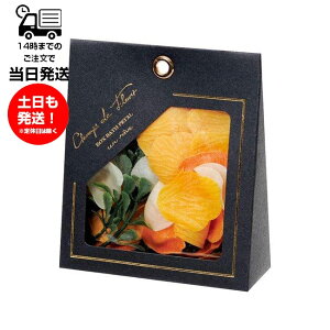 VEhEt[ - Vht[ A[ VG Ciel oXy^   Ԃт Mtg \[vt[