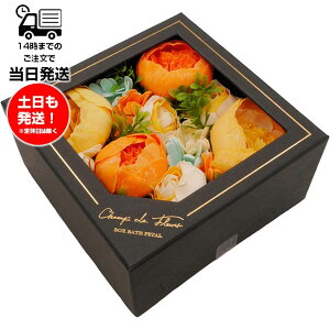�V�����E�h�E�t���[�� - �V�����h�t���[�� �A�����[�� �V�G�� Ciel �{�b�N�X�o�X�y�^�� ������ ���� �Ԃт� �M�t�g �\�[�v�t�����[