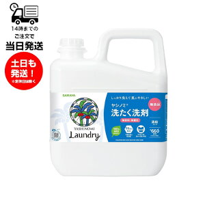 T SARAYA Vm~ 􂽂 Zk^Cv 5kg Ɩp e  F Y t̐ p lߑւ 100AR