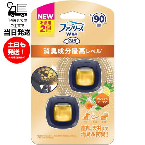 ファブリーズ W消臭 車用 イージークリップ 消臭成分最高レベル 2個入り フレッシュシトラス 車 消臭 防臭 シート 送風口用 イージークリップ 浸透膜 消臭成分 ニオイ 臭い 消す 座席 天井 ペ