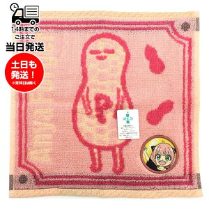 SPY FAMILY XpCt@~[ A[j ~j^I nJ` R hL qp wZ ʊw ObY w  ̎q j̎q @ 킢 q l