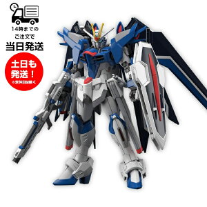 HG 1/144 [243] ���C�W���O�t���[�_���K���_�� RASING FREEDOM GUNDAM �@����m�K���_��SEED FREEDOM �v�����f�� �o���_�C �X�s���b�c BANDAI SPIRITS �K���v��