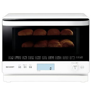 V[v/I[uW/ RE-S1100-W