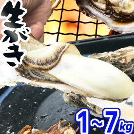 【クーポン対象】バーベキューに【日指定OK】牡蠣 殻付き 1kg〜7kg 加熱用 宮城県産 (1kg 5〜8個) 三陸 かき 生がき 牡蛎 貝 魚介 2kg 3kg 4kg 5kg 6kg 7kg 産地直送 人気 BBQ 焼き