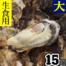 【日指定OK】牡蠣 生食用 大 殻付き 15個 三陸産 宮城県 かき 生がき 牡蠣 生 牡蛎 貝 魚介 産地直送 大きいサイズ